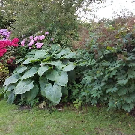 Villa Family House Near With Garden